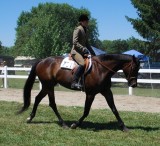 Thumbnail CRCJuly112010_195.JPG 
