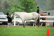 Thumbnail DSC_0130.JPG 
