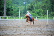 Thumbnail DSC_0305.JPG 