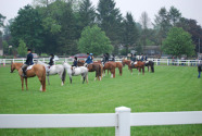 Thumbnail DSC_0353.JPG 