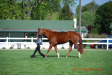 Thumbnail DSC_0820.JPG 