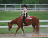 Thumbnail DSC_1365.JPG 
