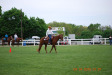 Thumbnail DSC_1438.JPG 