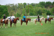 Thumbnail DSC_1475.JPG 