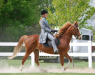 Thumbnail Image2.jpg 