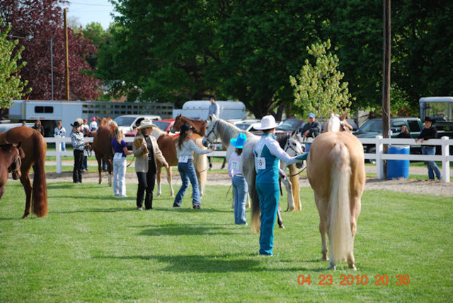 DSC_0839.JPG 